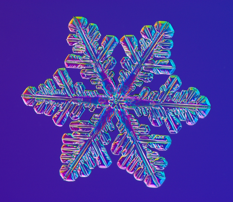 Snowflakes: Nano at its Coolest NISE Network Snowflakes: Nano at its Coolest NISE Network