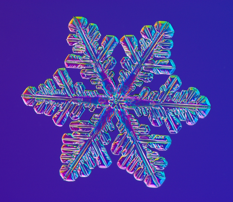 SNOWFLAKE_libbrecht_d0123a086B.jpg