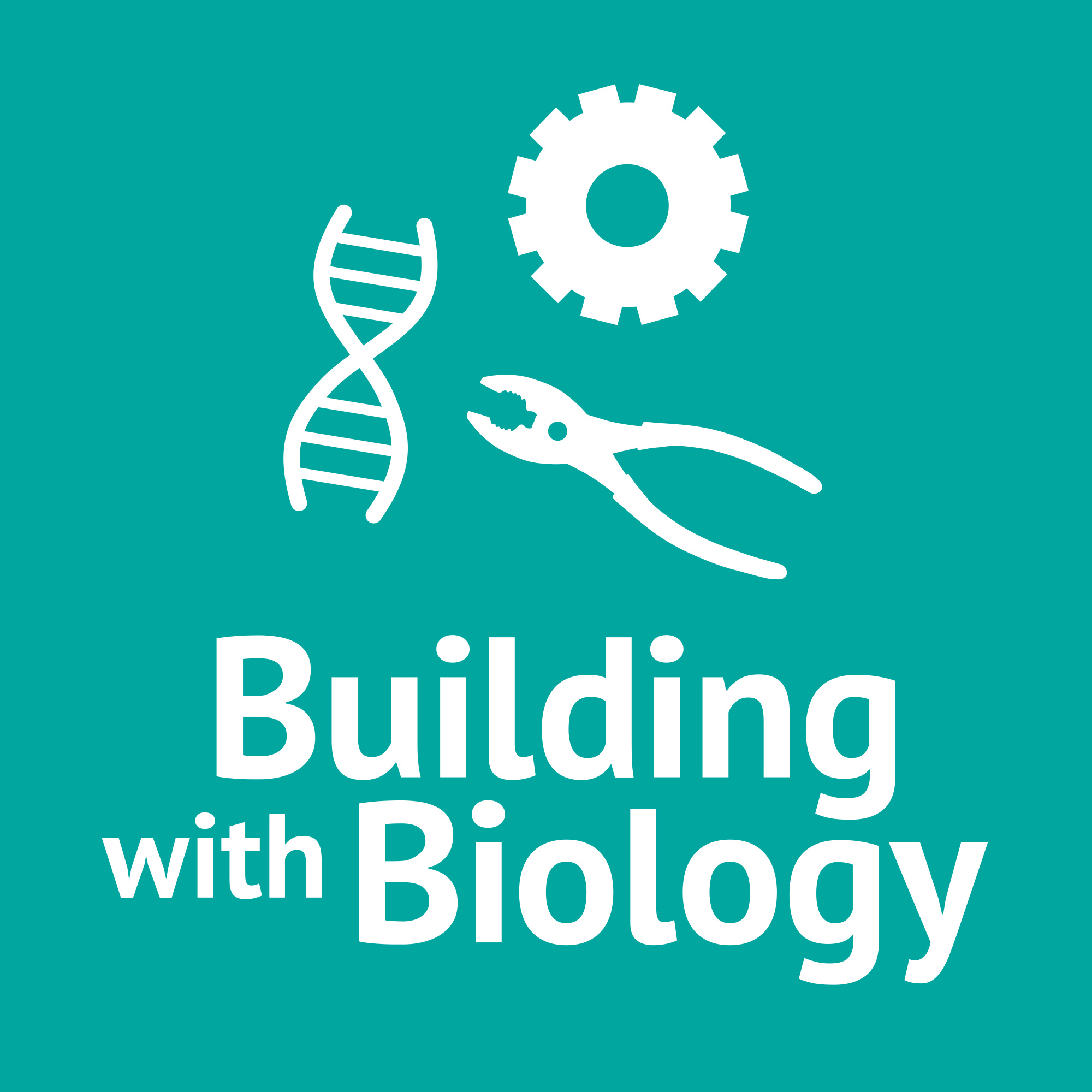 Online Activities and Conversations about Synthetic Biology