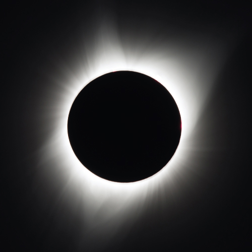 Solar Eclipses NISE Network