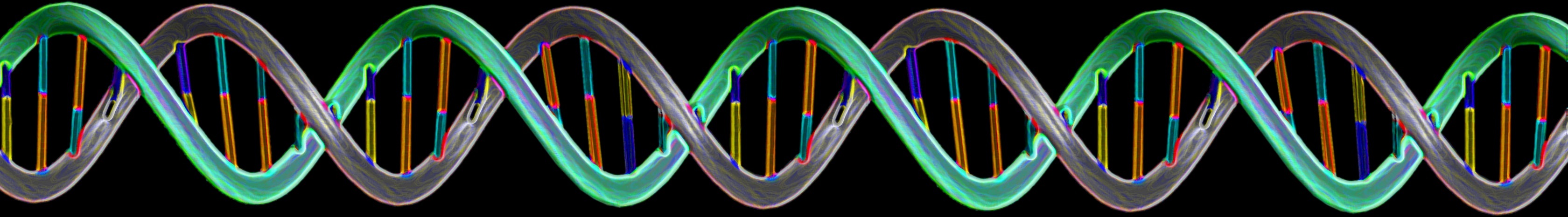 dna nanotechnology network nisenet