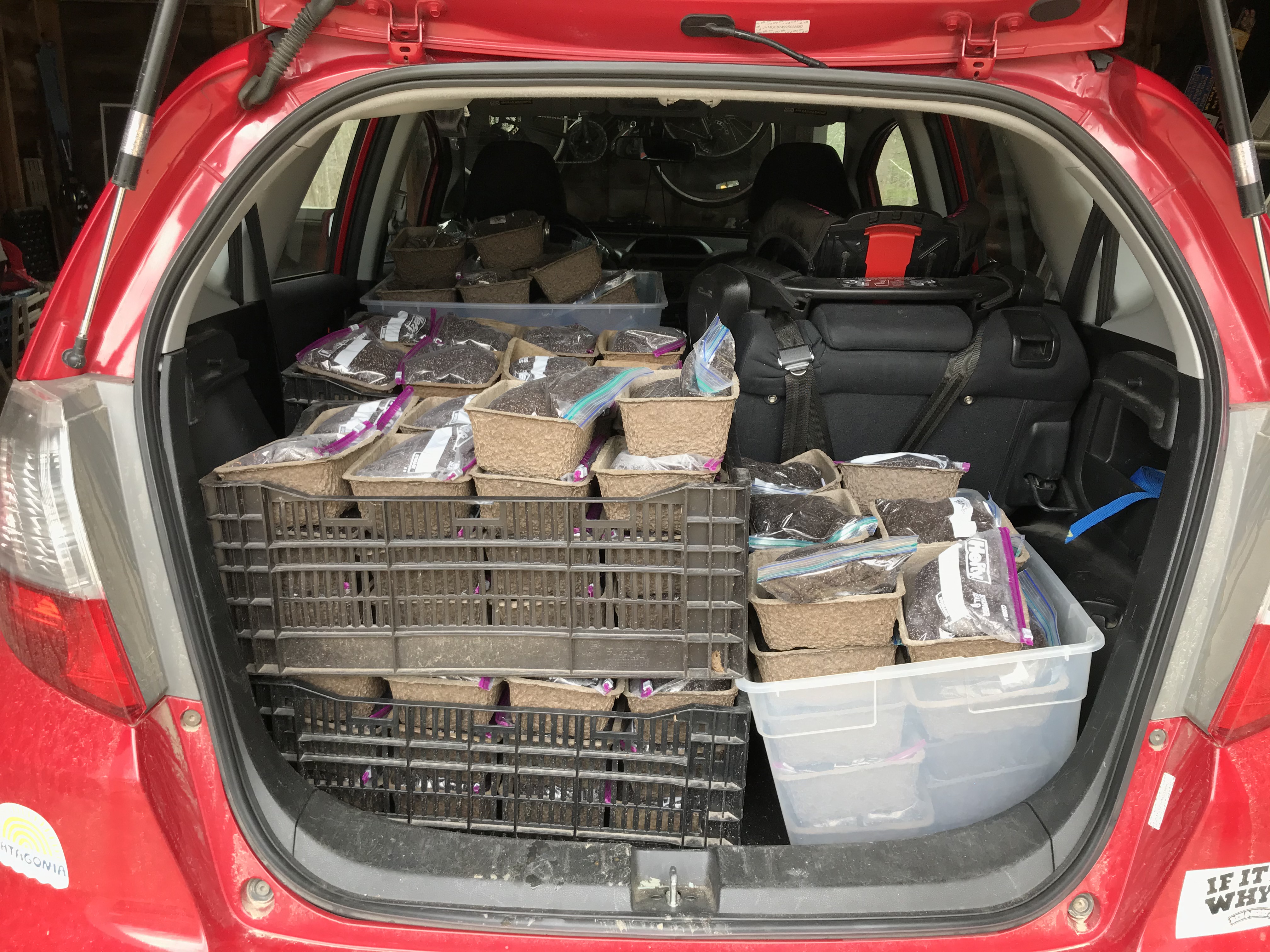 Image of trunk full of mini garden kits ready for school lunch distribution