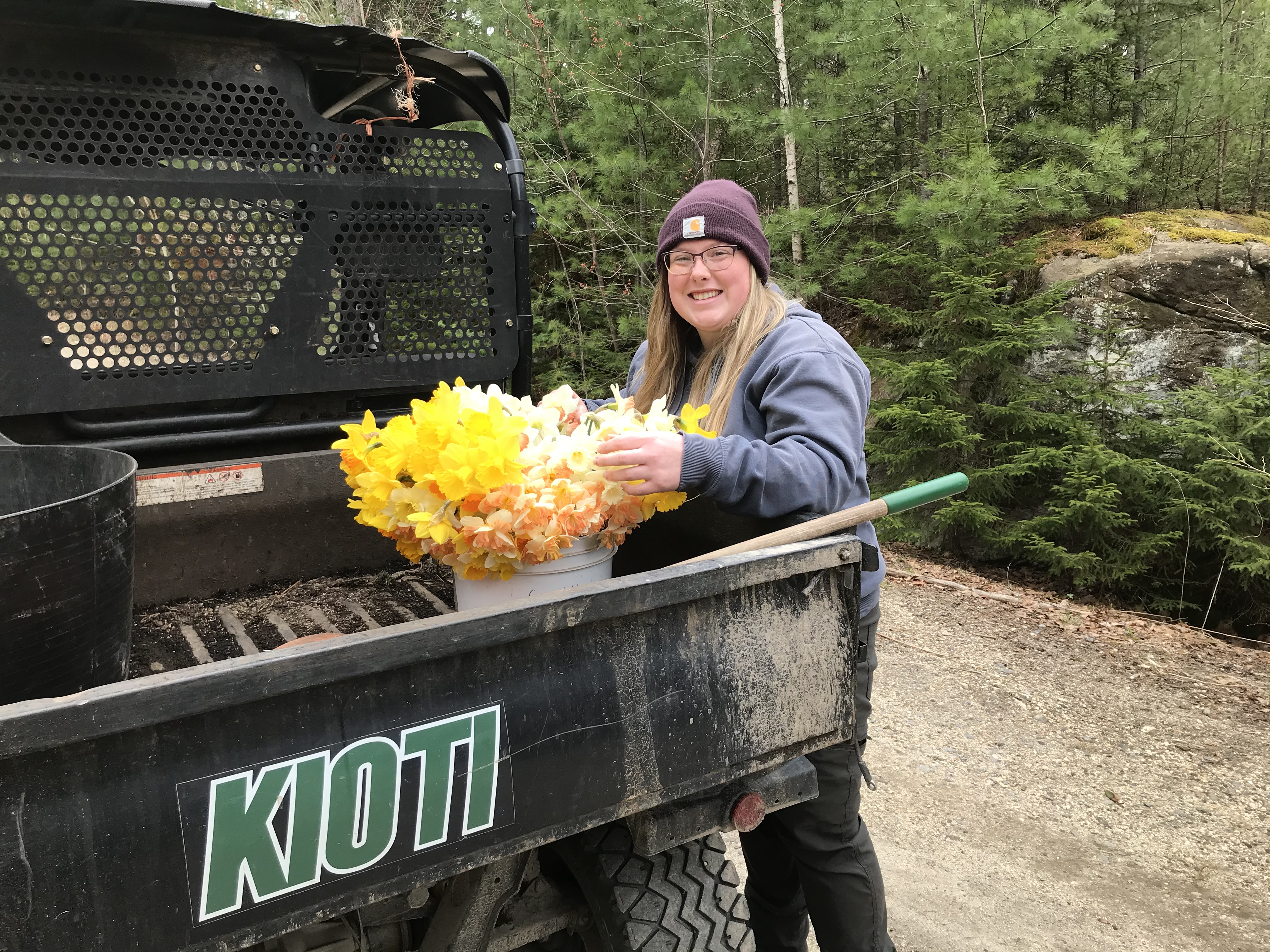 Picture of bucket full of daffodils ready to be shared with families