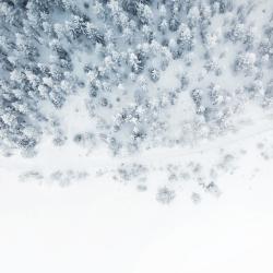Thumbnail for winter showing snow