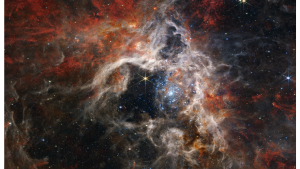 Webb Space Telescope Near-Infrared Camera image of the Tarantula Nebula - the most active star-forming region appears to sparkle with young stars appearing pale blue - Image credit: NASA, ESA, CSA, STScI, Webb ERO Production Team