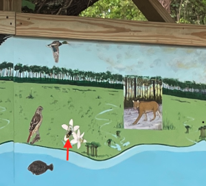Zoom into Bee from Choctawhatchee Bay Estuary Mural at the Emerald Coast Science Center