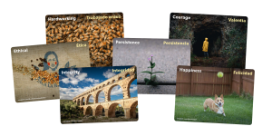 Collage of What Values Do You Share cards to spark conversations