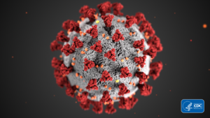 COVID-19 Coronavirus illustration from CDC