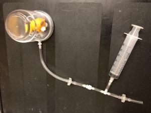 Vacuum apparatus for Molecules in Motion Vacuum apparatus for Molecules in Motion
