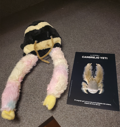 FrankenToy Activity Stuffed Animal Pieces Next to Imagining Life Activity Cards