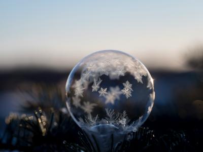 Snowflakes and a frozen bubble on an evergreen branch outdoors.