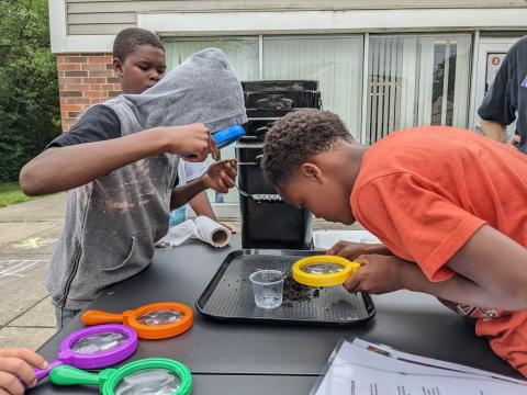 Young participants investigate worms with magnifying glasses