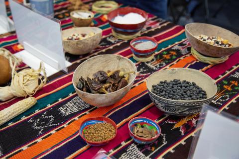 A colorful display on a table top, there are bowls and various different color corns in various states, cobs, kernels, and ground.
