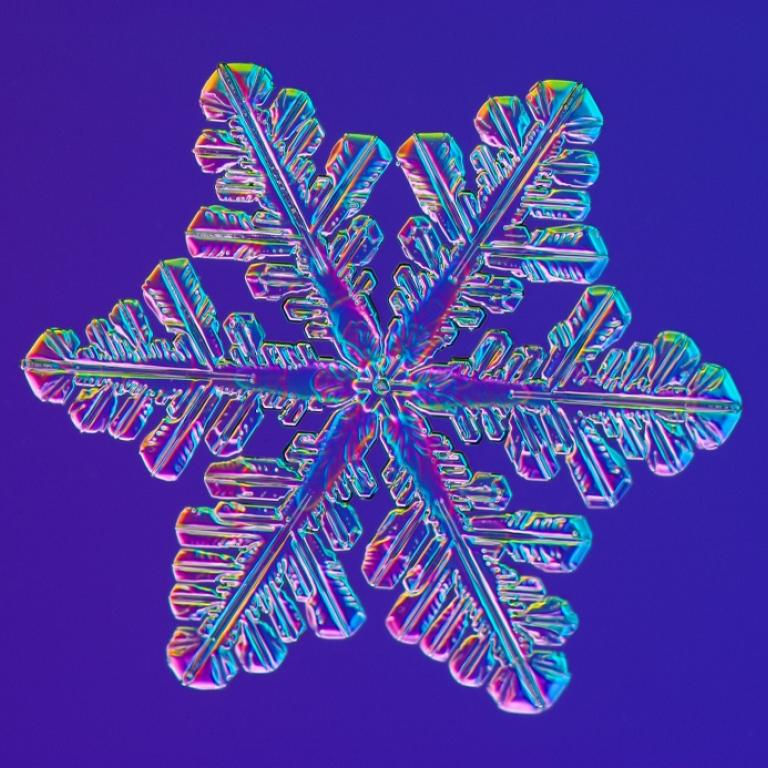 A magnified image of a snowflake