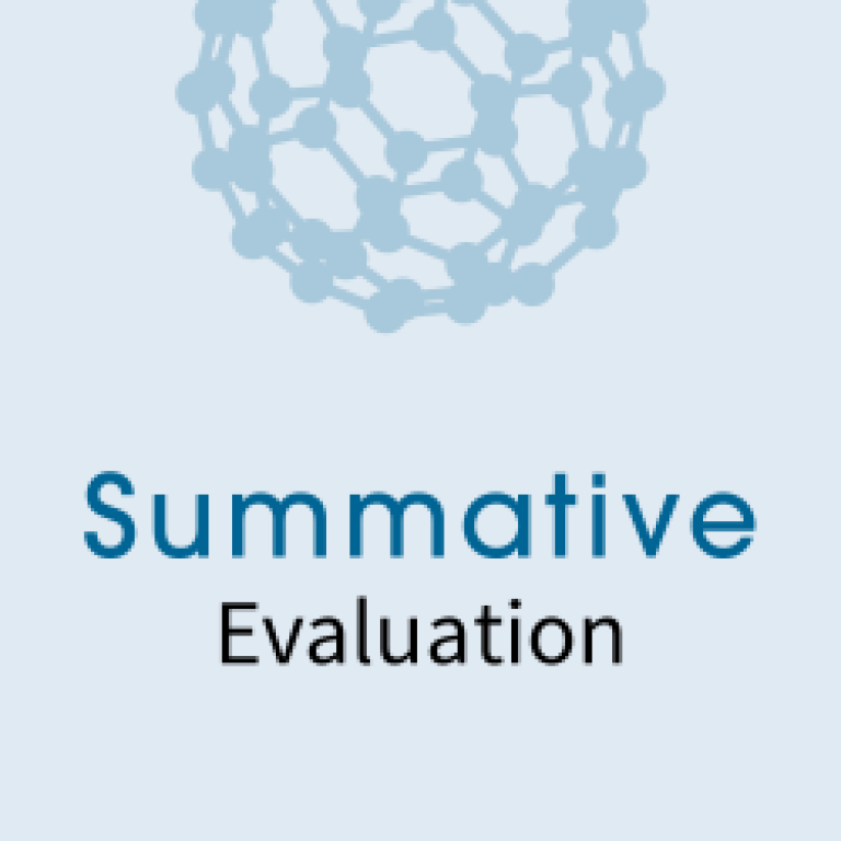 NISE Network Summative Evaluation logo