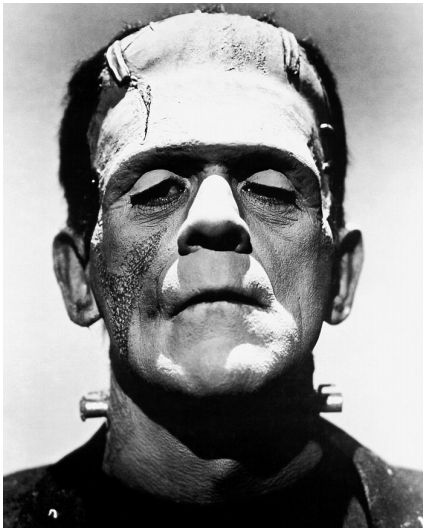 Photograph of Boris Karloff as Frankenstein’s monster from Wikimedia Commons. Retrieved from: https://commons.wikimedia.org/wiki/File:Frankenstein%27s_monster_(Boris_Karloff).jpg Photograph of Boris Karloff as Frankenstein’s monster from Wikimedia Commons. Retrieved from: https://commons.wikimedia.org/wiki/File:Frankenstein%27s_monster_(Boris_Karloff).jpg