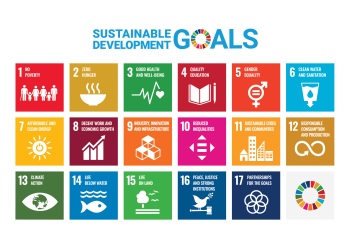 Sustainable Development Goals Poster with icons for each goal