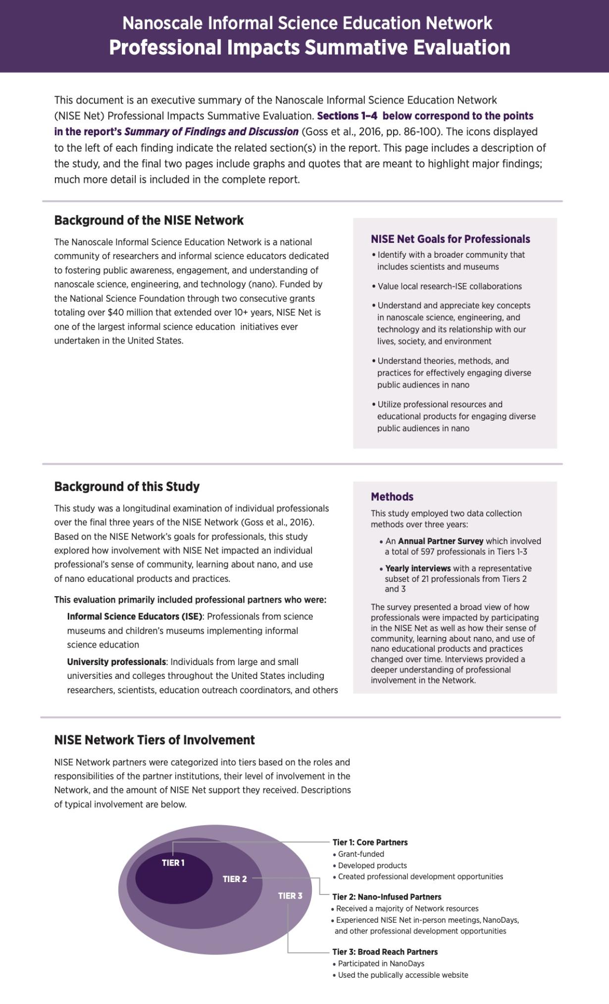 NISE Network Nano Professional Impacts Evaluation executive summary page 1