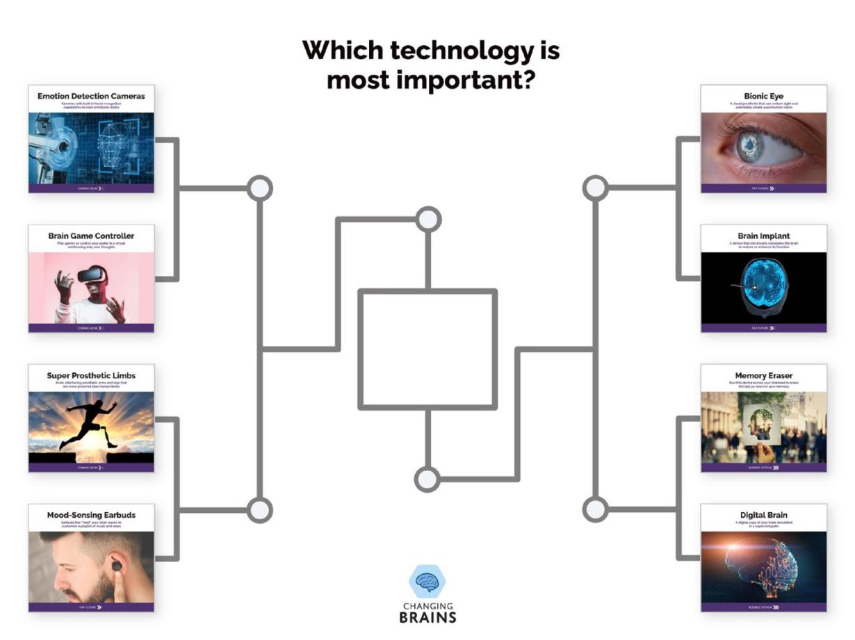 A bracket containing different neurotechnology cards