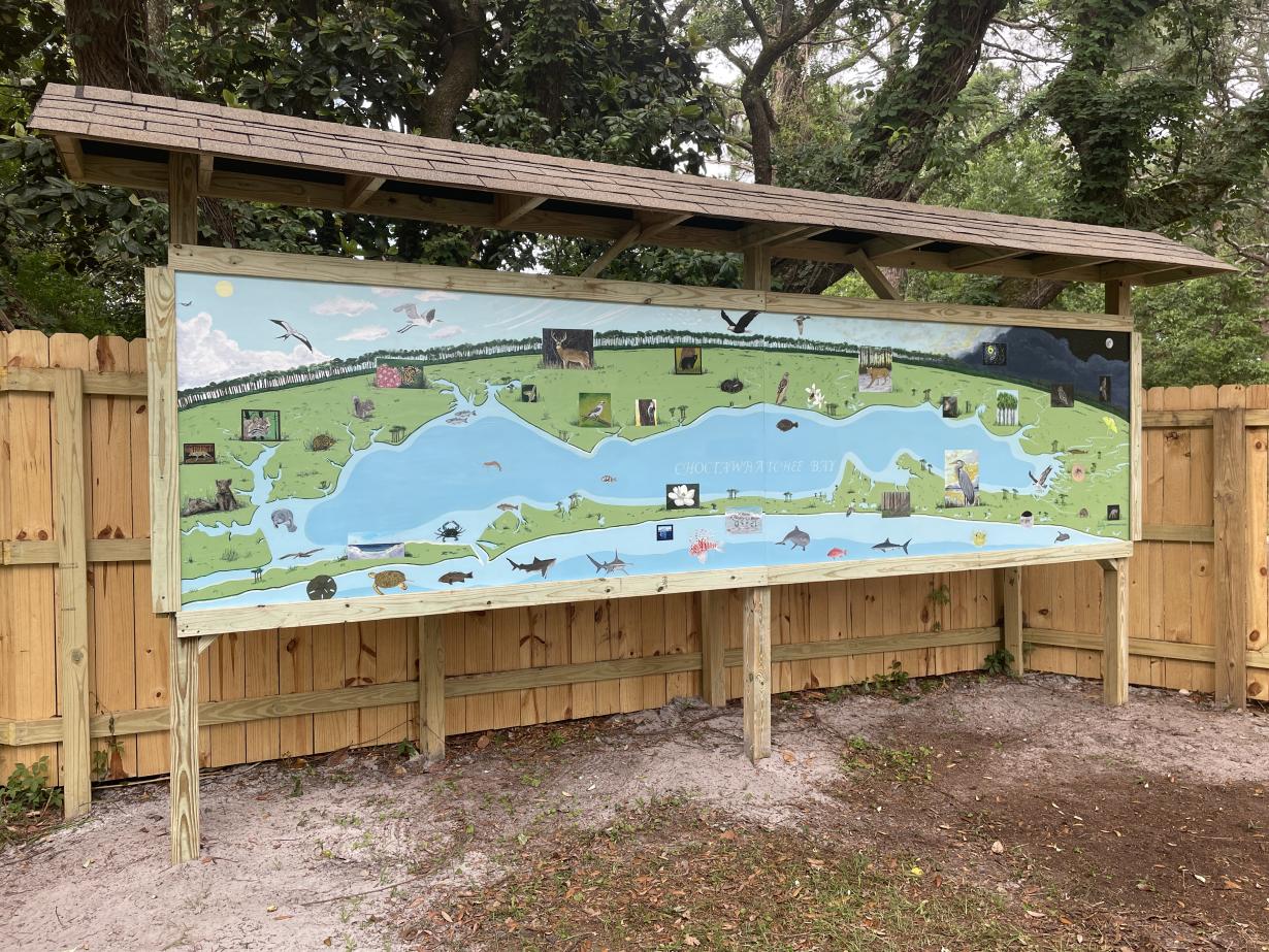 Choctawhatchee Bay Estuary Mural at the Emerald Coast Science Center