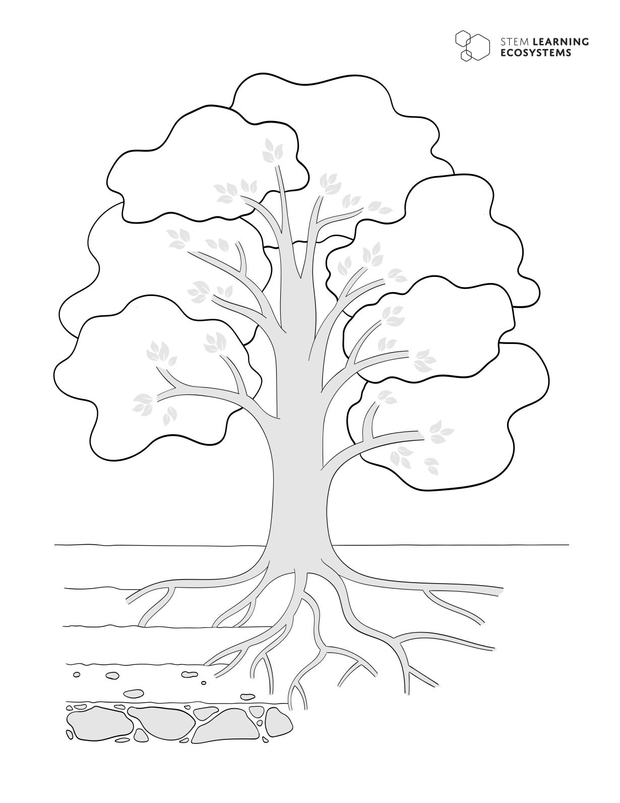 Tree drawing template