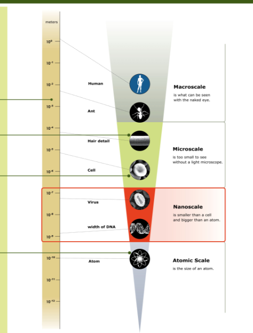 a scale ladder from the macro to the nano size