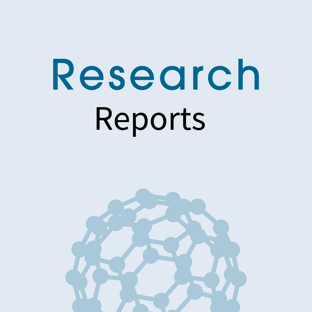 research report icon