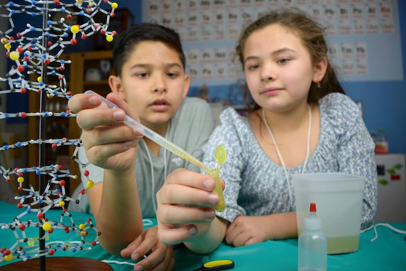 Building with Biology See DNA