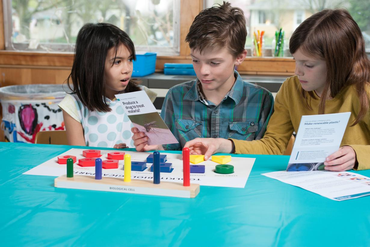 Children using Building with Biology kit of parts activity with colored blocks and cards