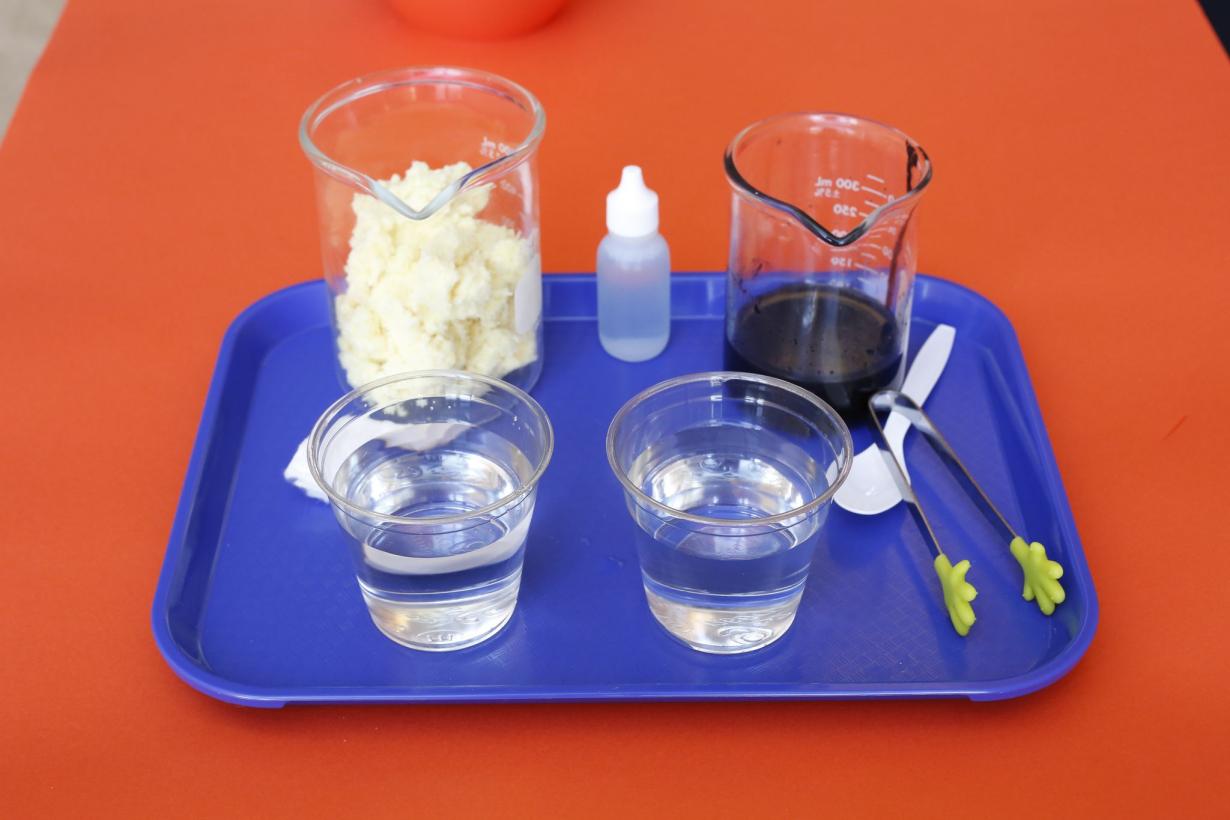 Chemistry oil spill activity materials with dye absorbant cups and tongs.jpeg