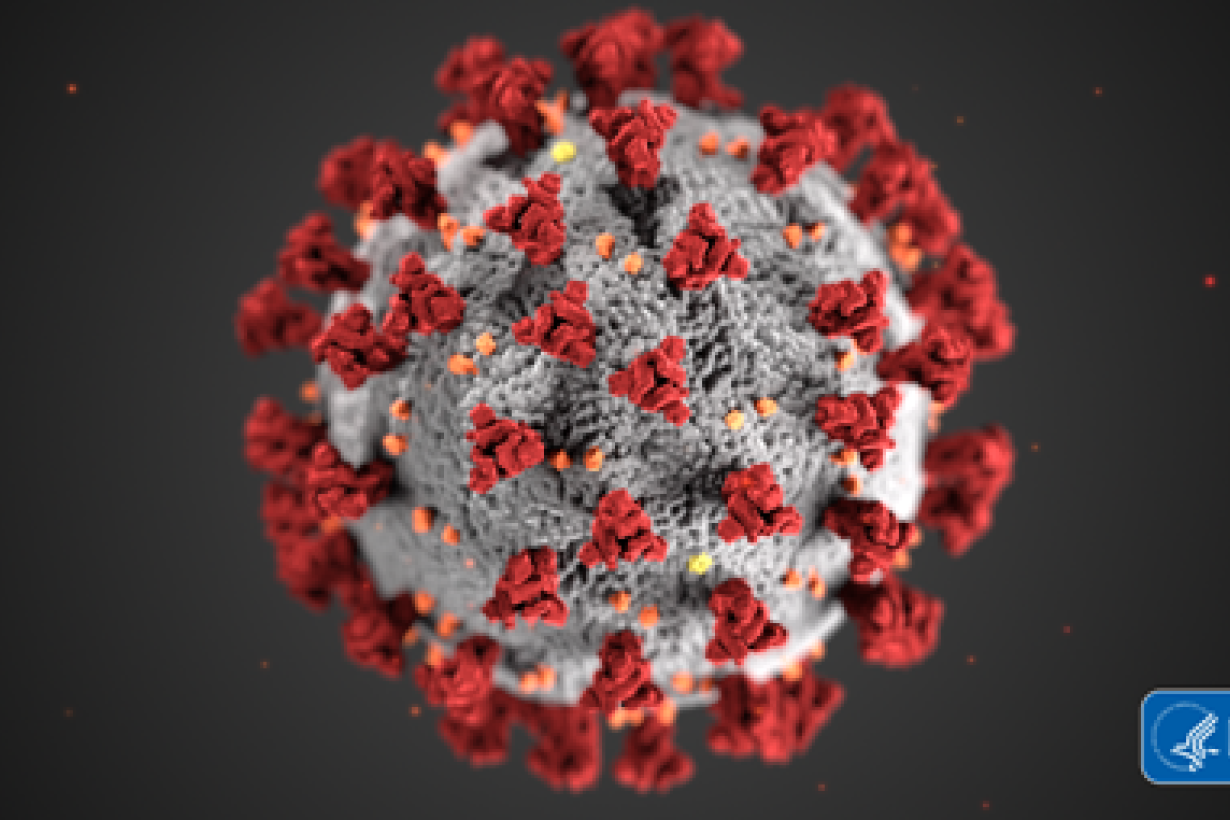 Coronavirus COVID-19 image from CDC