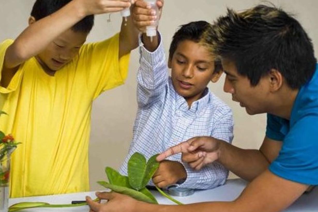 children dripping water on lotus leaves