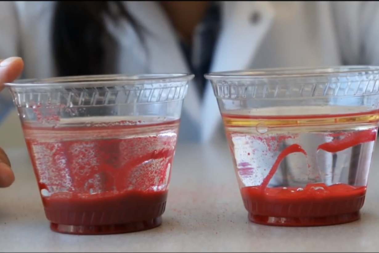Oil spill video activity two comparison cups of oil, water, and sand