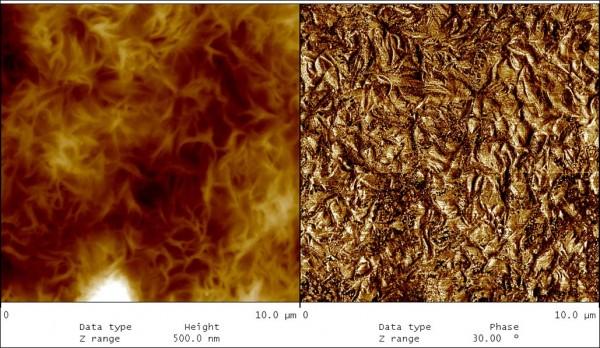 atomic force microscope | NISE Network