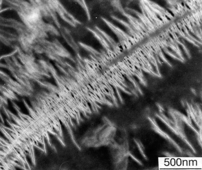 transmission electron microscope | NISE Network