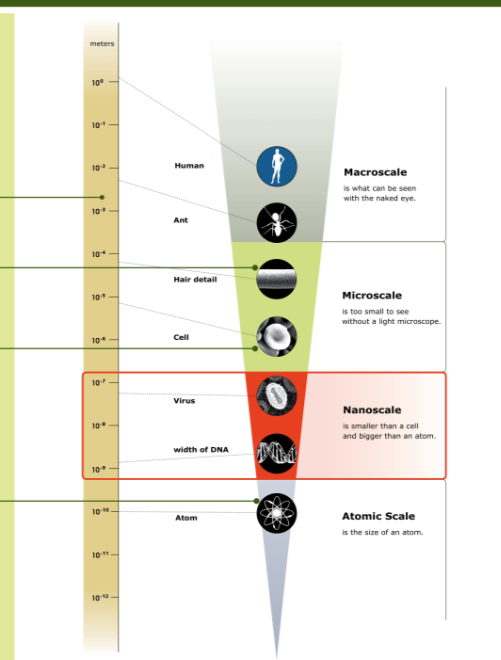 Science Size Scale Size, Scale, & Measurement | NISE Network