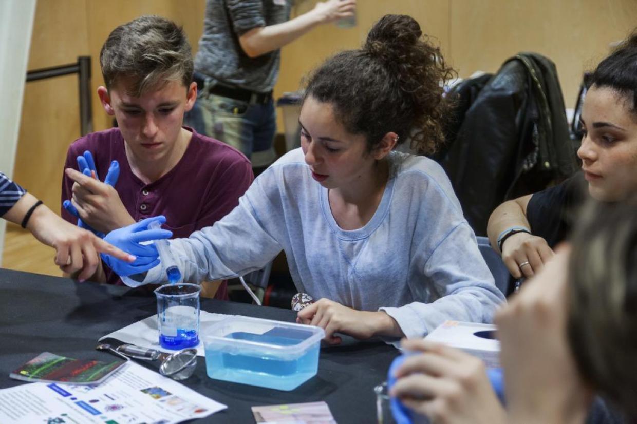 Two Learners Observe a Beaker Filled with a Blue Liquid - One has a Syringe of the Liquid