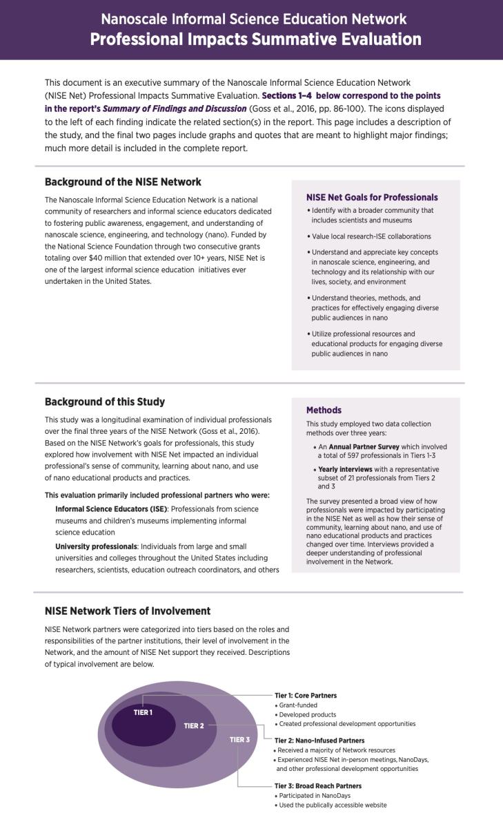 NISE Network Nano Professional Impacts Evaluation executive summary page 1