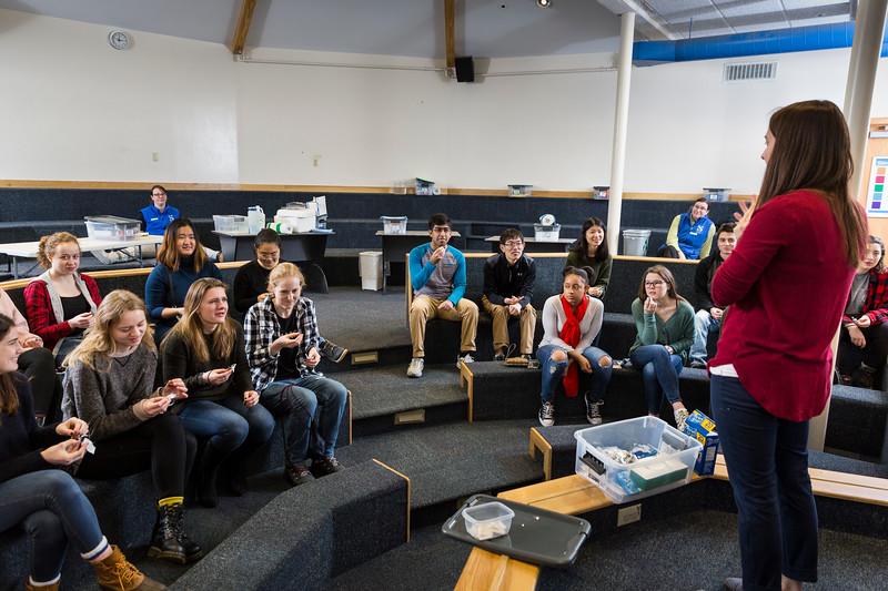 Group of museum staff training for chemistry event