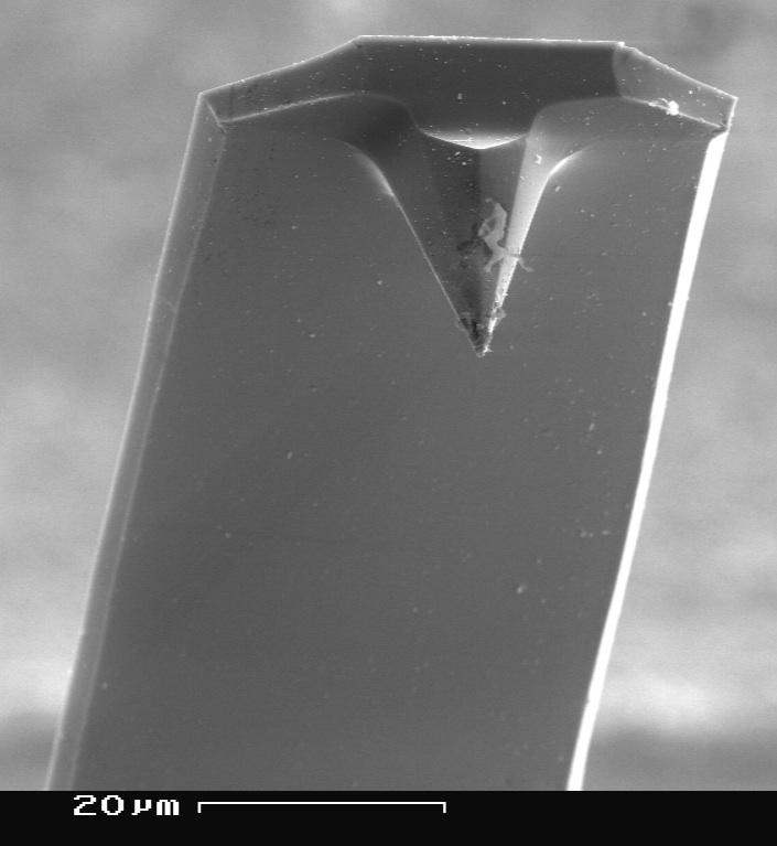 A micrograph of a the tip of a scanning probe microscope 