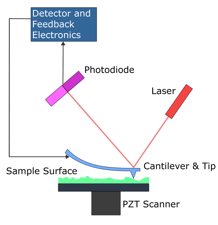 A diagram showing how a atomic force microscope works