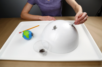 Learner adding paperclips onto a magnetic Sun model