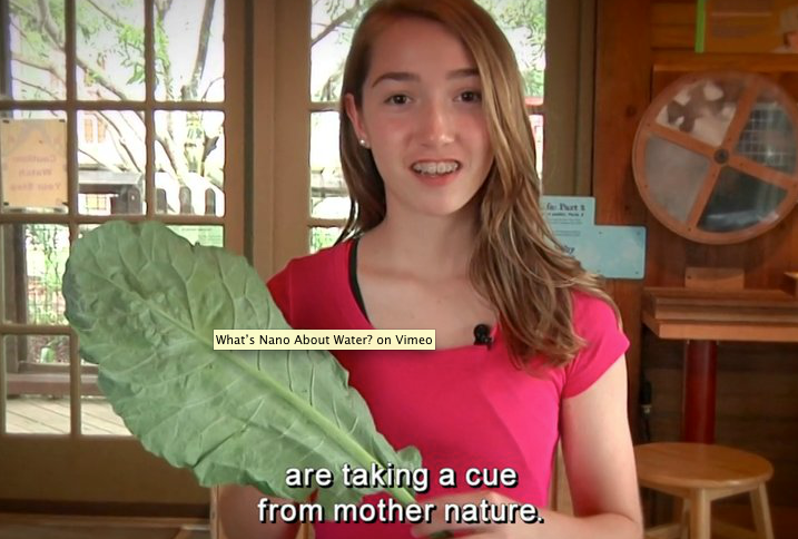 Person holding a kale leaf