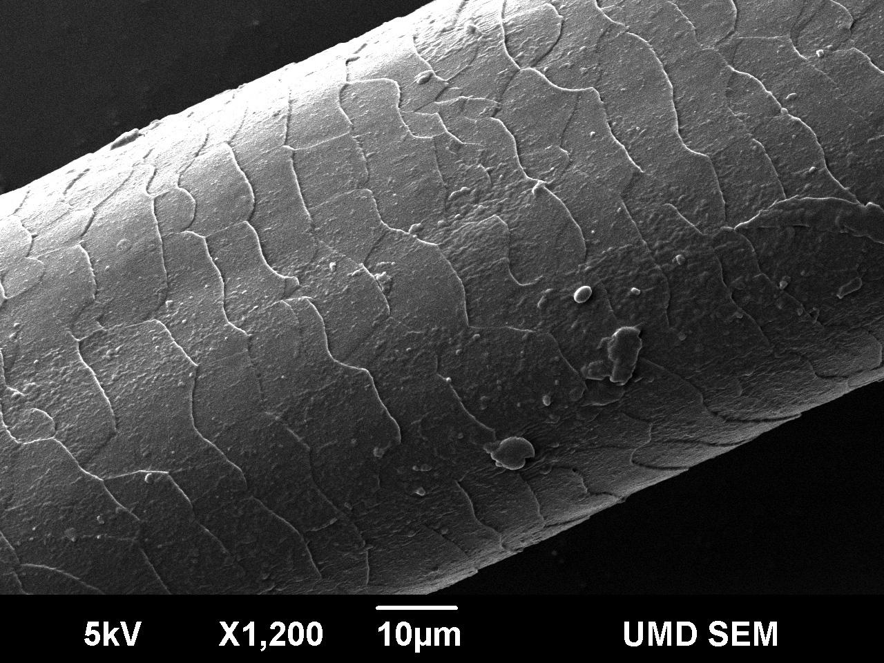 Human hair microns shop