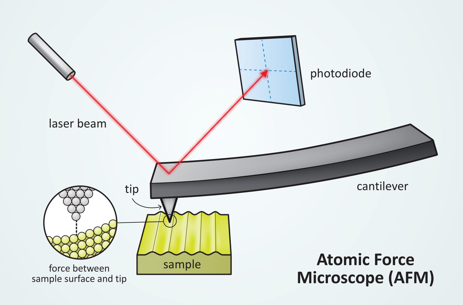 Illustration of an Atomic Force Microscope (AFM) probe tip