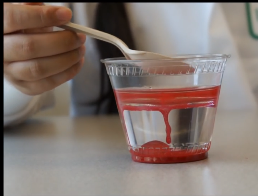 Person using spoon in cup of water with oil in Oil Spill Cleanup activity