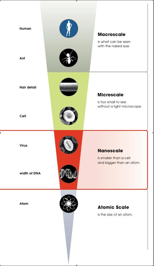 Scale Ladder  NISE Network