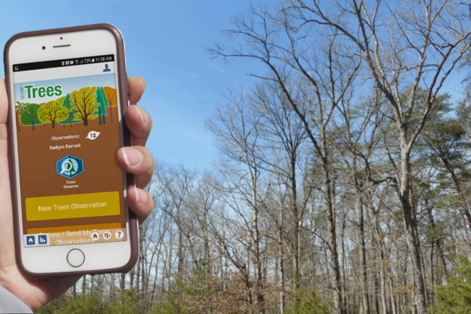 A person holding a phone taking a picture of a tree for a citizen science app