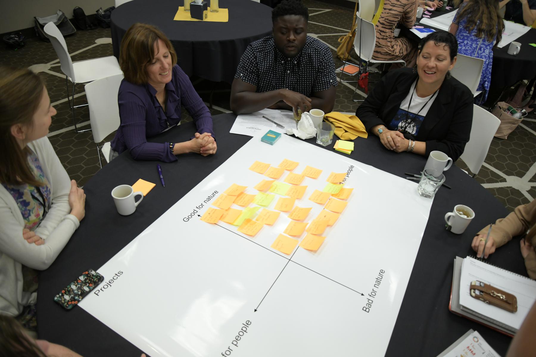 Sustainability fellows brainstorming activity