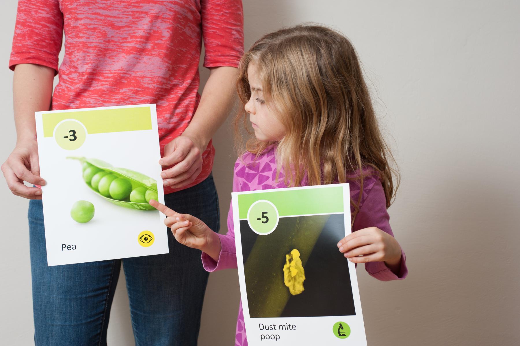 Visitors line up by size in Get in Order - large size powers of 10 cards featuring a pea plant card